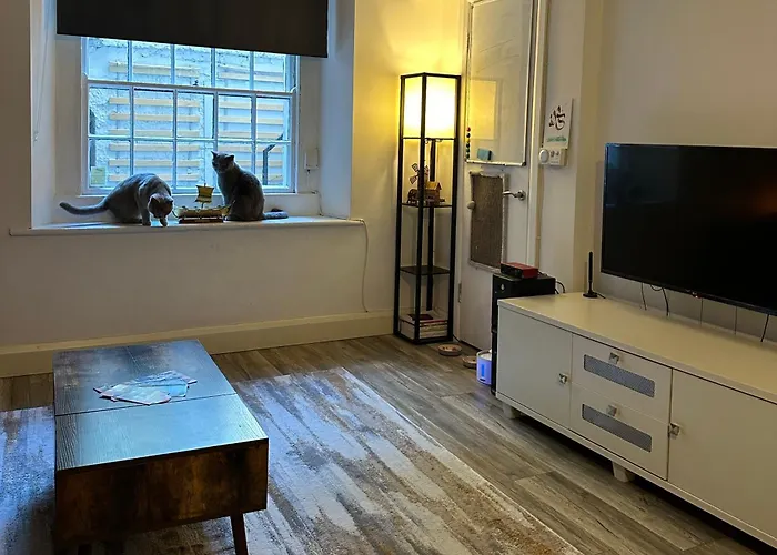 Entire In Apartamento Dublín